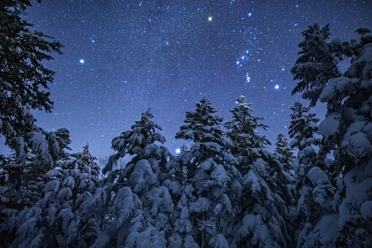 夜空ページ SNOW（雪） と SORA（宙） が出会う場所 —— 長野の「天」と「地」の